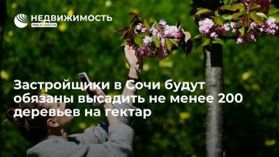 Алексей Копайгородский - Застройщики в Сочи будут обязаны высадить не менее 200 деревьев на гектар, сообщил мэр - realty.ria.ru - Россия - Сочи