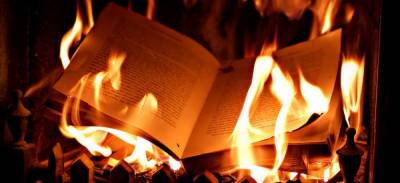 Западные политкорректоры начали сжигать «неправильные книги» - politnavigator.net - Россия - Канада - Голландия