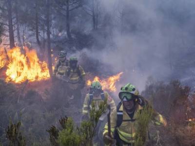 El Pais - Пожар на юге Испании: огонь приблизился к заповеднику - unn.com.ua - Украина - Киев - Испания