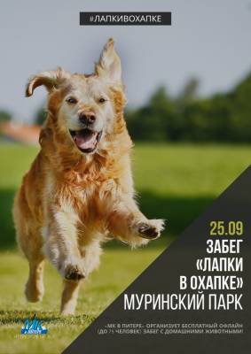 25 сентября в 16:00 «‎МК в Питере» приглашает бегунов и любителей животных на офлайн забег «Лапки в охапке» - neva.today - Санкт-Петербург