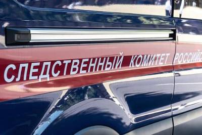 Россиянина направят в психбольницу за изнасилование дочери и нелегальный арсенал - lenta.ru - Россия - Ленинградская обл. - район Гатчинский
