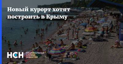 Сергей Аксенов - Новый курорт хотят построить в Крыму - nsn.fm - Крым - Евпатория