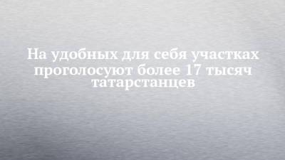 Андрей Кондратьев - На удобных для себя участках проголосуют более 17 тысяч татарстанцев - chelny-izvest.ru - Россия - респ. Татарстан