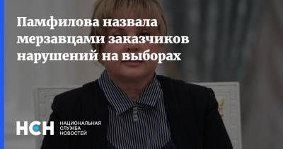Элла Памфилова - Памфилова назвала мерзавцами заказчиков нарушений на выборах - nsn.fm - Россия - Санкт-Петербург