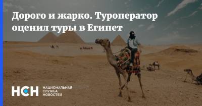 Юрий Барзыкин - Дорого и жарко. Туроператор оценил туры в Египет - nsn.fm - Россия - Египет - Турция