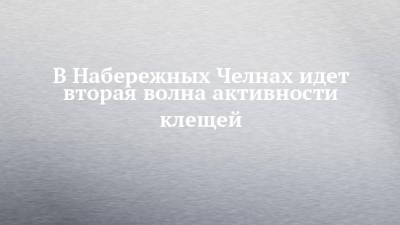 В Набережных Челнах идет вторая волна активности клещей - chelny-izvest.ru - Набережные Челны