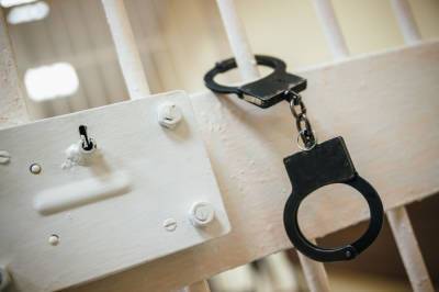 Полиция поймала отрезавшего уши жителю Липецка мужчину - news.vse42.ru - Московская обл. - Липецк