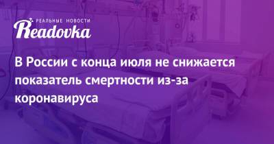 Николай Крючков - Петр Чумаков - В России с конца июля не снижается показатель смертности из-за коронавируса - readovka.news - Россия