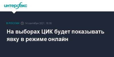 Элла Памфилова - На выборах ЦИК будет показывать явку в режиме онлайн - interfax.ru - Москва