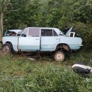 В Запорожской области ВАЗ влетел в дерево: среди пострадавших ребенок. Фото - reporter-ua.com - Украина - Запорожская обл. - район Пологовский