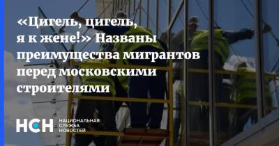«Цигель, цигель, я к жене!» Названы преимущества мигрантов перед московскими строителями - nsn.fm - Россия - Строительство