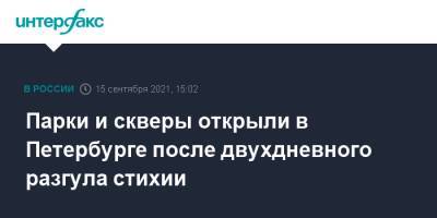 Парки и скверы открыли в Петербурге после двухдневного разгула стихии - interfax.ru - Москва - Санкт-Петербург - Петербург