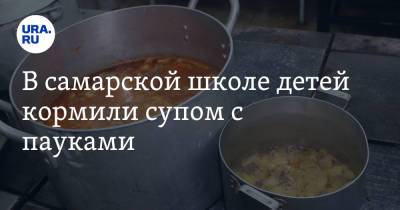 Дмитрий Азаров - В самарской школе детей кормили супом с пауками - ura.news - Царьград - Самара - Самарская обл.