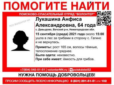 64-летняя пенсионерка пропала в лесу в Вачском районе - vgoroden.ru - Нижегородская обл.