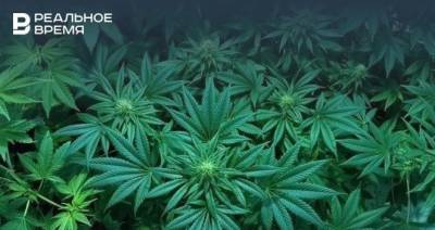 Марихуану могут исключить из числа запрещенных веществ для спортсменов - realnoevremya.ru - США - Токио