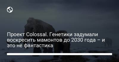 Проект Colossal. Генетики задумали воскресить мамонтов до 2030 года – и это не фантастика - liga.net - Украина