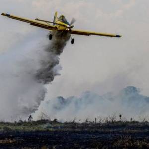 В Бразилии упал легкомоторный самолет: есть погибшие - reporter-ua.com - Бразилия