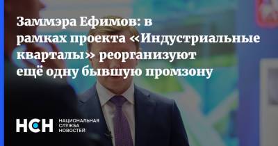 Владимир Ефимов - Заммэра Ефимов: в рамках проекта «Индустриальные кварталы» реорганизуют ещё одну бывшую промзону - nsn.fm - Москва