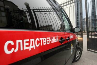 Мать садила детей на цепь и била их деревянной палкой в Петербурге - ivbg.ru - Россия - Украина - Санкт-Петербург - район Красногвардейский