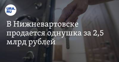 В Нижневартовске продается однушка за 2,5 млрд рублей - ura.news - Нижневартовск