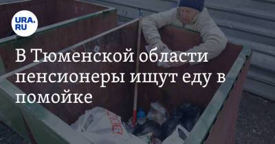 В Тюменской области пенсионеры ищут еду в помойке. Видео - ura.news - Тюменская обл. - Тобольск