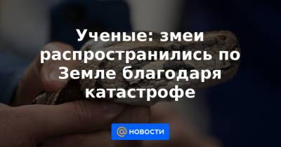 Ученые: змеи распространились по Земле благодаря катастрофе - news.mail.ru - Англия