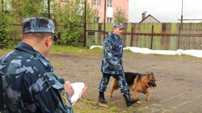 Полицейские не нашли взрывных устройств в здании ДВГУПС в Хабаровске - inforeactor.ru - Россия - Хабаровск