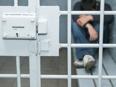 В Петербурге арестовали блогера, который ездил пьяным по Невскому и «обидел» инспектора ДПС - rosbalt.ru - Россия - Санкт-Петербург