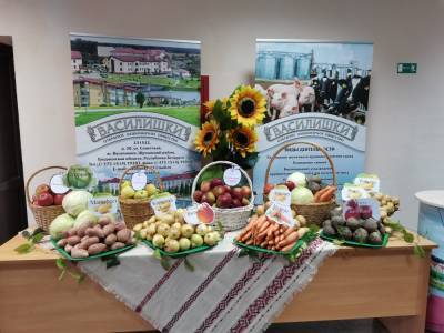 В этом году белорусские аграрии планируют получить не менее 5,8 миллиона тонн картофеля и 1,8 миллиона тонн овощей - grodnonews.by - Белоруссия - район Щучинский