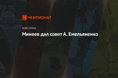 Владимир Минеев - Александр Емельяненко - Минеев дал совет А. Емельяненко - championat.com - Россия