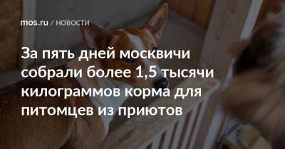 За пять дней москвичи собрали более 1,5 тысячи килограммов корма для питомцев из приютов - mos.ru - Москва