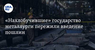 «Нахлобучившие» государство металлурги пережили введение пошлин. Мнение экономистов - ura.news - Россия