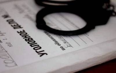 Предъявлено обвинение россиянке, посадившей своих детей на цепь - gazeta.a42.ru - Санкт-Петербург