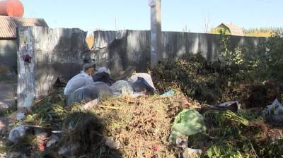 «Сидели без воды». Жители воронежского СНТ пожаловались на безразличие главы к их проблемам - vestivrn.ru - Воронеж
