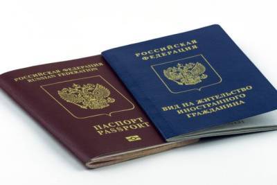 В России упростят процедуру получения вида на жительство для ИТ-специалистов - yur-gazeta.ru - Россия