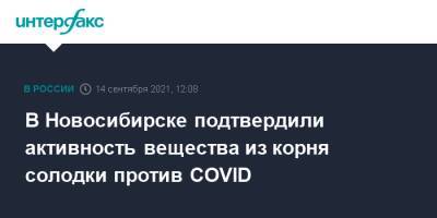 В Новосибирске подтвердили активность вещества из корня солодки против COVID - interfax.ru - Москва - Новосибирск