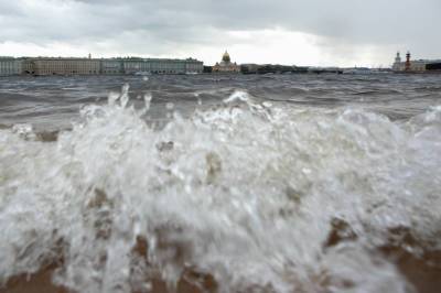 Вода в Неве в понедельник поднялась на 20 сантиметров - neva.today - Россия - Санкт-Петербург