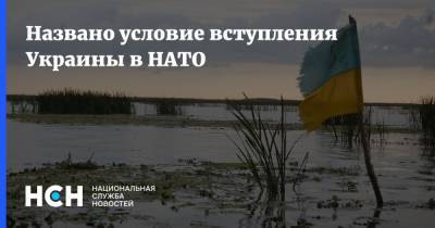 Игорь Стрелков - Названо условие вступления Украины в НАТО - nsn.fm - Россия - Украина - ДНР