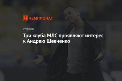 Андрей Шевченко - Николо Скир - Три клуба МЛС проявляют интерес к Андрею Шевченко - championat.com - США - Украина - Англия - Швеция