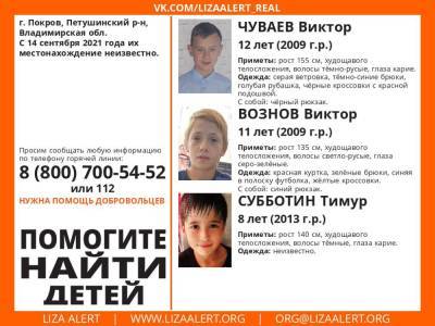 Во Владимирской области пропали трое детей - 7info.ru - Владимирская обл. - Покров