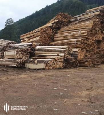 На Буковине незаконно вырубили заповедные деревья на площади 1,8 га - rupor.info