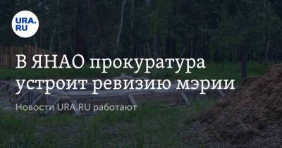 В ЯНАО прокуратура устроит ревизию мэрии. Новости URA.RU работают - ura.news - Салехард - окр. Янао