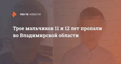 Трое мальчиков 11 и 12 лет пропали во Владимирской области - ren.tv - Владимирская обл.