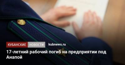 17-летний рабочий погиб на предприятии под Анапой - kubnews.ru - Анапа - Краснодарский край