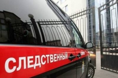 Ольга Врадий - Двух иностранцев задержали в Подмосковье по делу об убийстве пенсионерки - mk.ru - Россия - Московская обл.