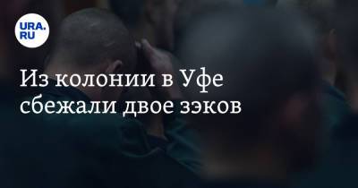 Из колонии в Уфе сбежали двое зэков - ura.news - Башкирия - Уфа