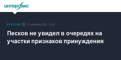 Дмитрий Песков - Песков не увидел в очередях на участки признаков принуждения - interfax.ru - Москва - Россия