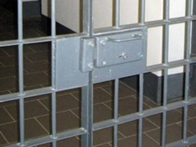 Дмитрий Чебанов - Четверо обвиняемых в склонении к беспорядкам в дни выборов, отправлены под арест - rosbalt.ru - Москва - Россия