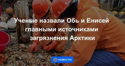 Алексей Орлов - Ученые назвали Обь и Енисей главными источниками загрязнения Арктики - news.mail.ru - Россия