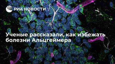 Ученые рассказали, как избежать болезни Альцгеймера - ria.ru - Москва - Австралия